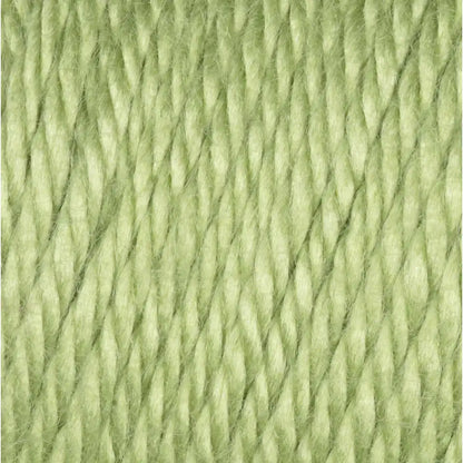 Caron Simply Soft Collection-Bag of 3 Yarn Pack