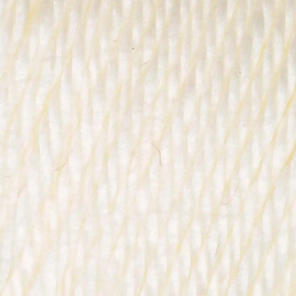 Caron Simply Soft Collection-Bag of 3 Yarn Pack