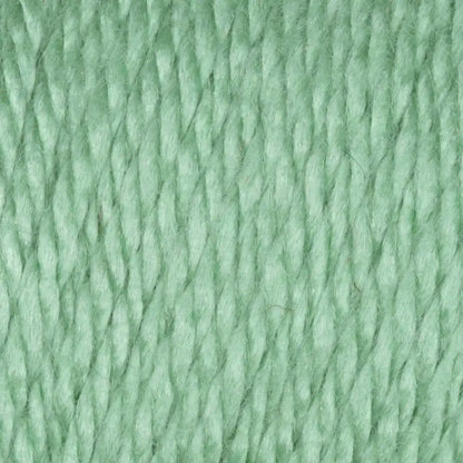 Caron Simply Soft Collection-Bag of 3 Yarn Pack