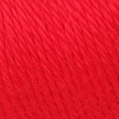 Caron Simply Soft Collection-Bag of 3 Yarn Pack