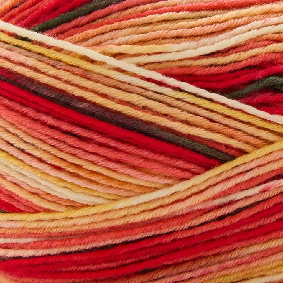 Premier Farmstand Yarn