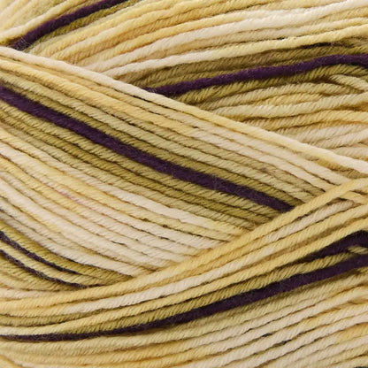 Premier Farmstand Yarn
