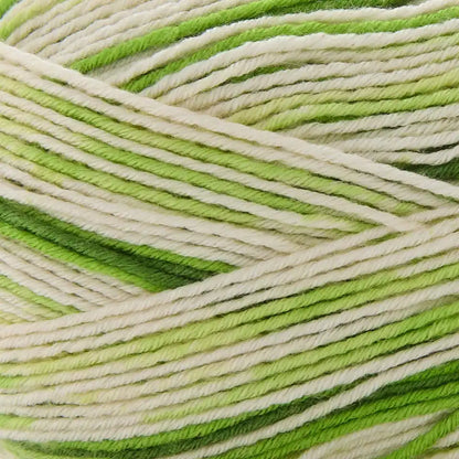 Premier Farmstand Yarn