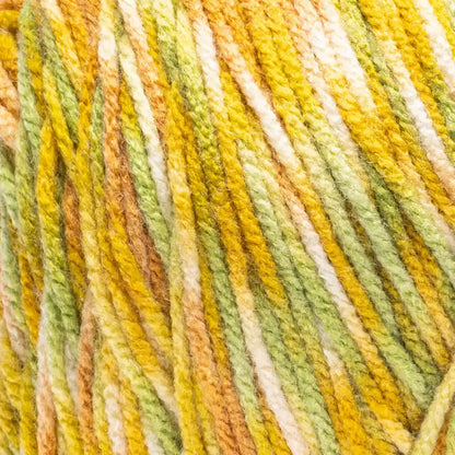 Red Heart Super Saver Jazzy Yarn