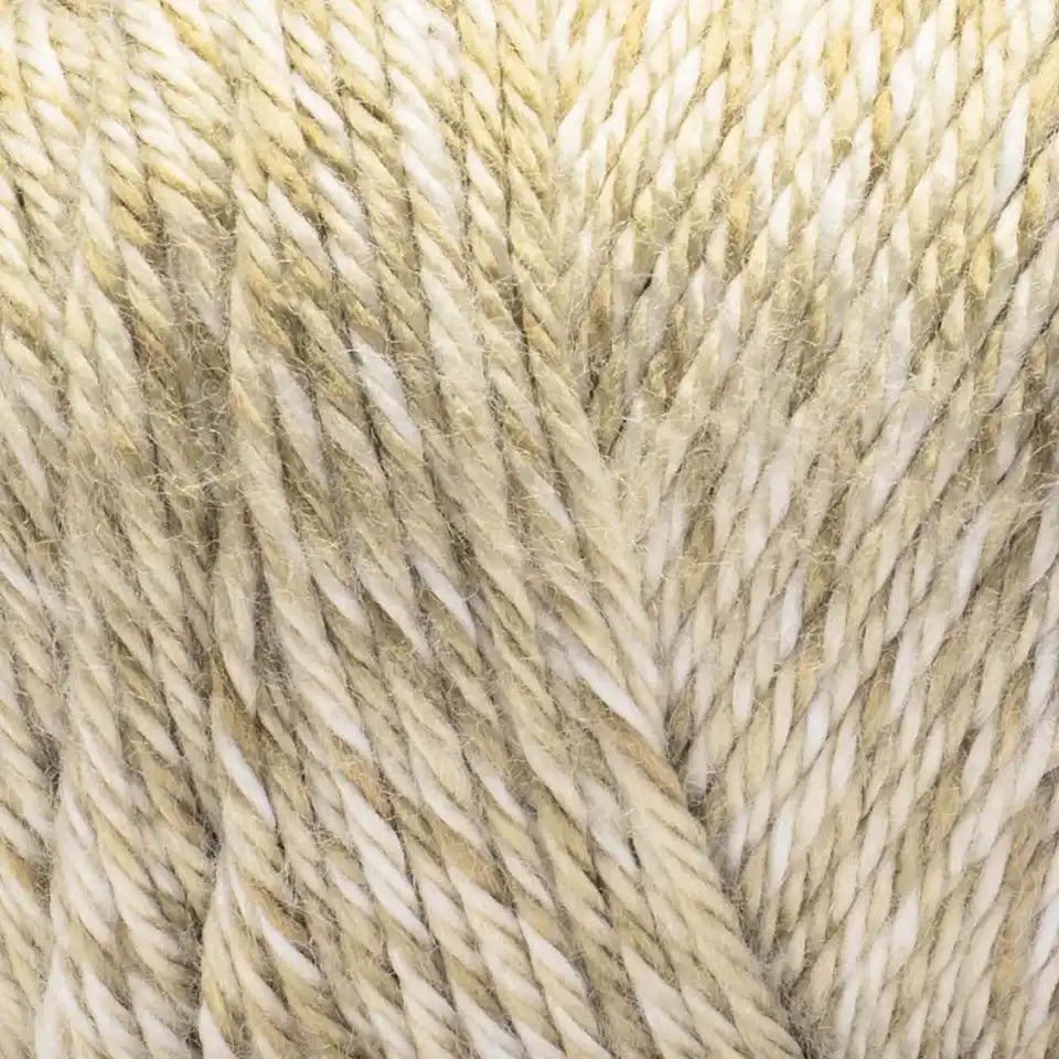 Caron Simply Soft Sunkissed Yarn