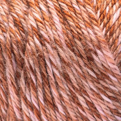 Caron Simply Soft Sunkissed Yarn