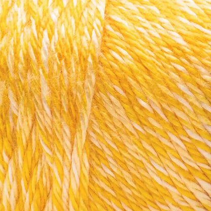 Caron Simply Soft Sunkissed Yarn