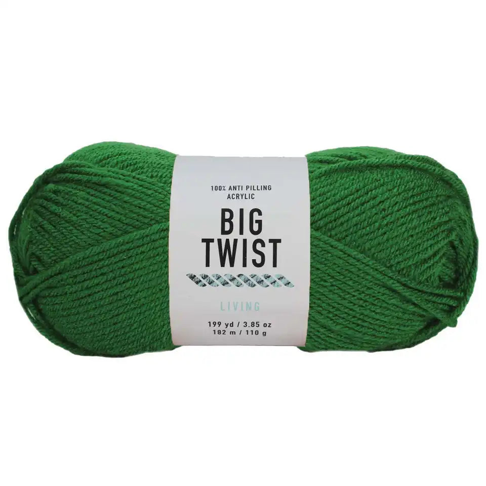 Big Twist Living-Bag of 3 Yarn Pack