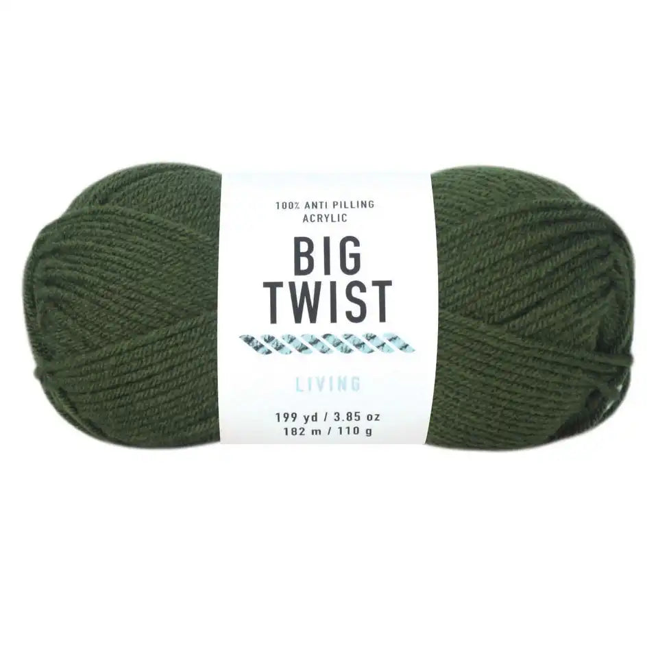 Big Twist Living-Bag of 3 Yarn Pack