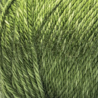 Caron Simply Soft Sunkissed Yarn