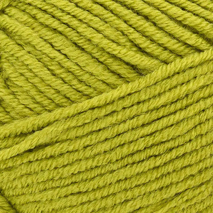 Lion Brand Color Theory Yarn