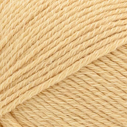 Lion Brand Two of Wands Cottino Yarn