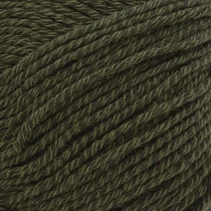 Lion Brand Two of Wands Cottino Yarn