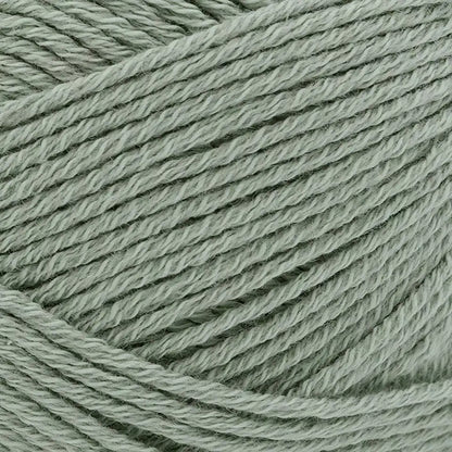 Lion Brand Two of Wands Cottino Yarn