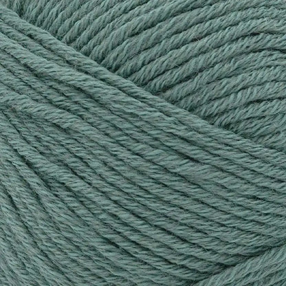 Lion Brand Two of Wands Cottino Yarn