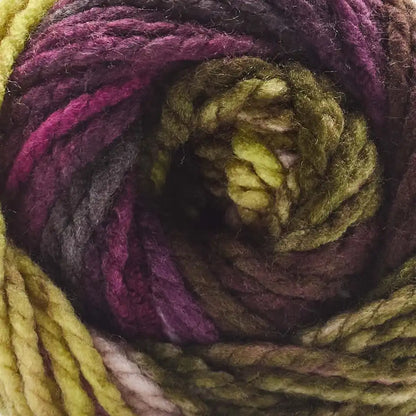 Premier Colorfusion Chunky Yarn