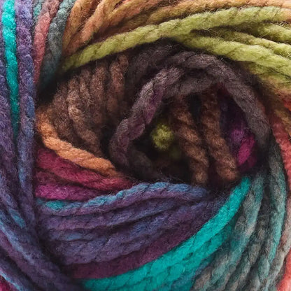 Premier Colorfusion Chunky Yarn