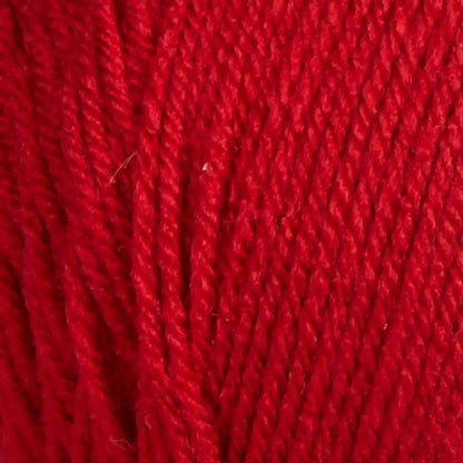 Herrschners Be-Sporty-Bag of 4 Yarn Pack